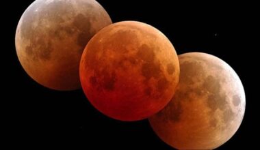 Houston’s forecast for the total Lunar Eclipse