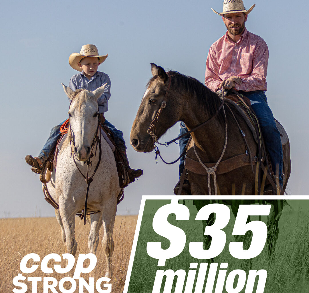 AgTexas Farm Credit Services Returns Patronage to Member-Owners Following Strong Year
