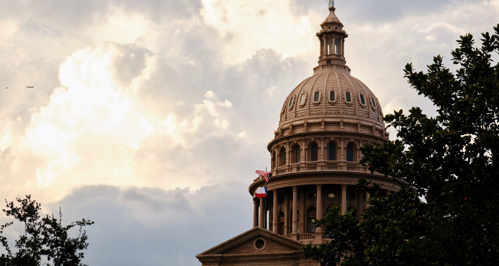 These are the Texas legislative races on the ballot for primary election