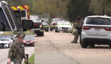 Armed sexual assault suspect shot during standoff with HPD SWAT officials in SE Houston home