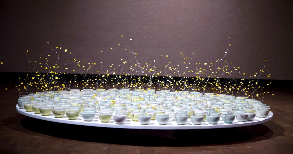 What’s happening in the North Texas arts scene April 3-9