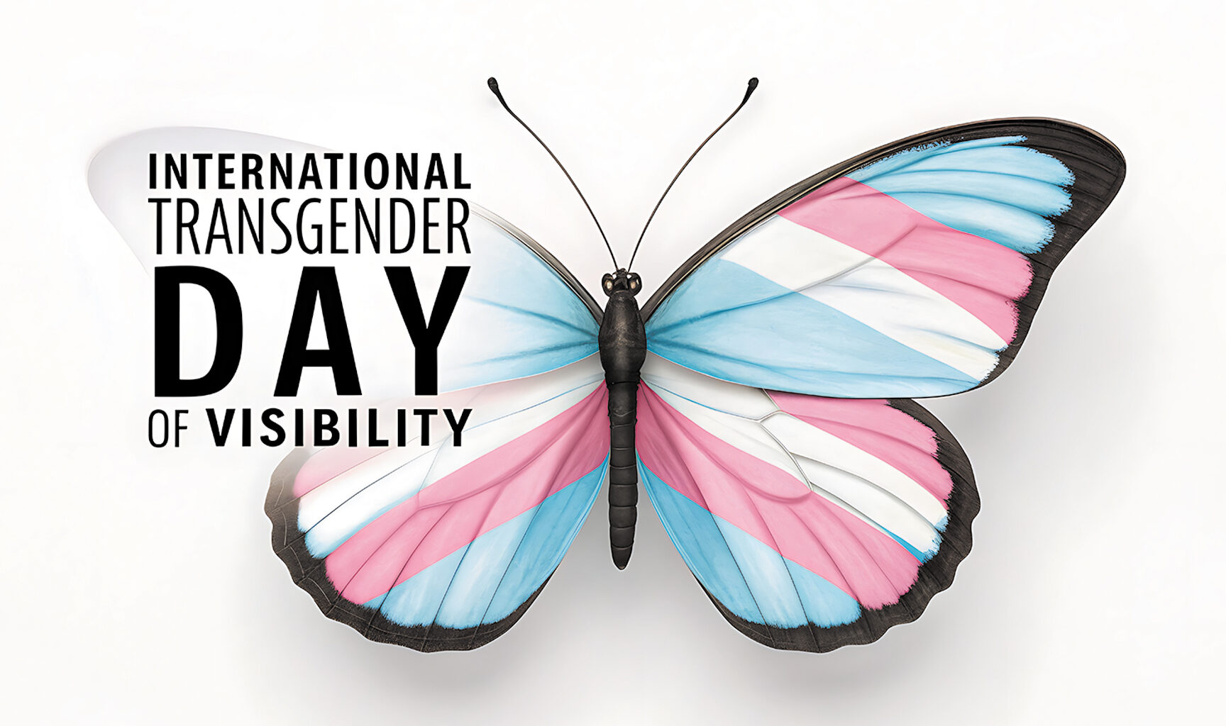 Best Bets • 03-20-26 - Dallas Voice