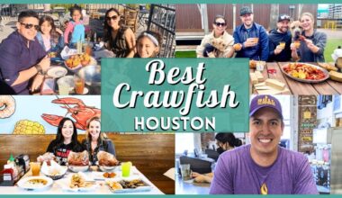 10 Best Crawfish in Houston: Top-Rated Spots for 2026