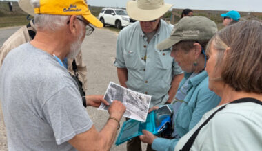 A Win for the Birds at Bolivar Flats Shorebird Sanctuary