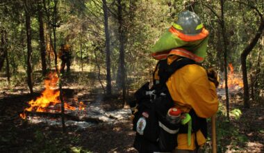 prescribed burn on parkland