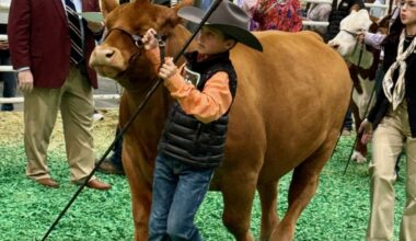Houston's Rodeo Auction Angels Swoop In To Save the Day — Making Sure Hard-Working Kids Get Rewarded