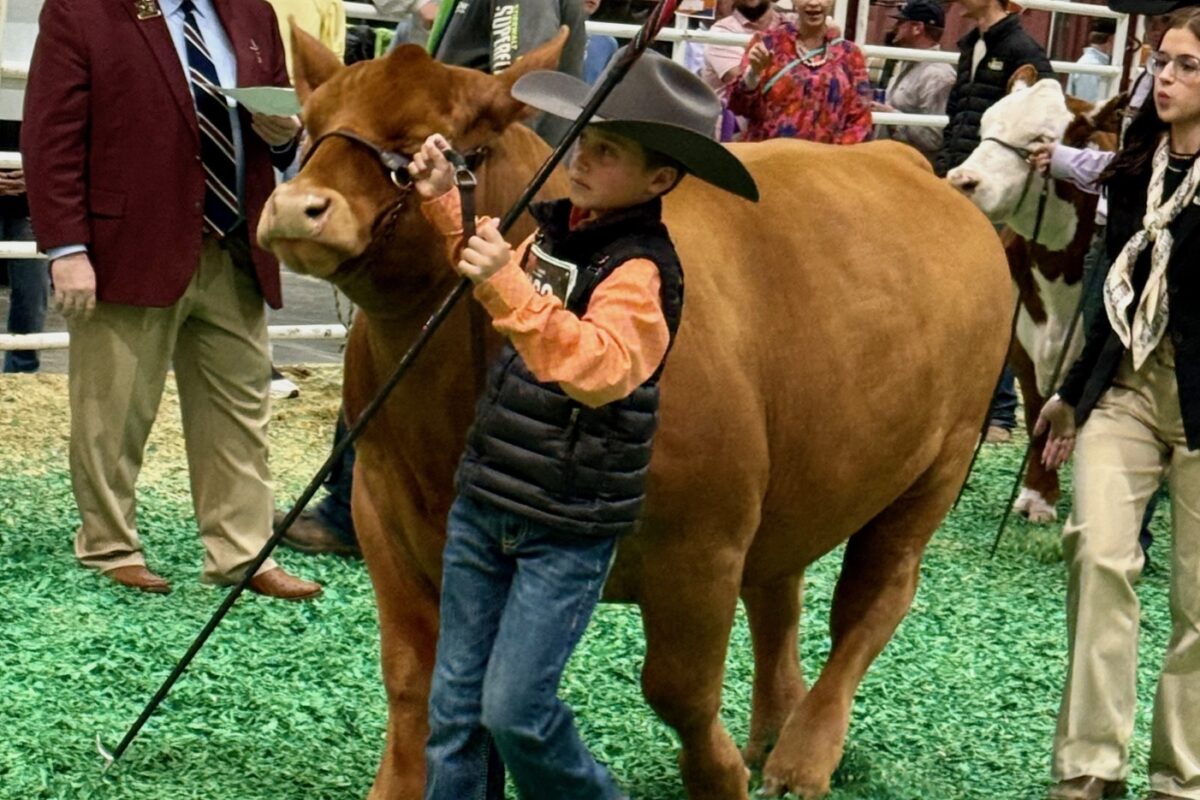 Houston's Rodeo Auction Angels Swoop In To Save the Day — Making Sure Hard-Working Kids Get Rewarded