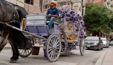 Will horse-less carriage rides come to downtown San Antonio?
