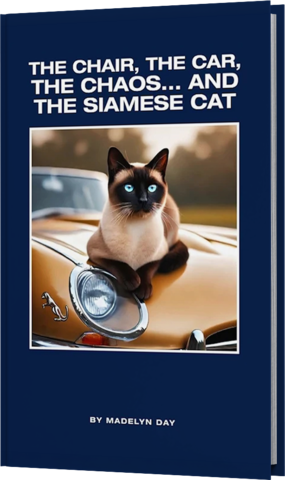 Austin, TX Author Publishes Mystery Novel