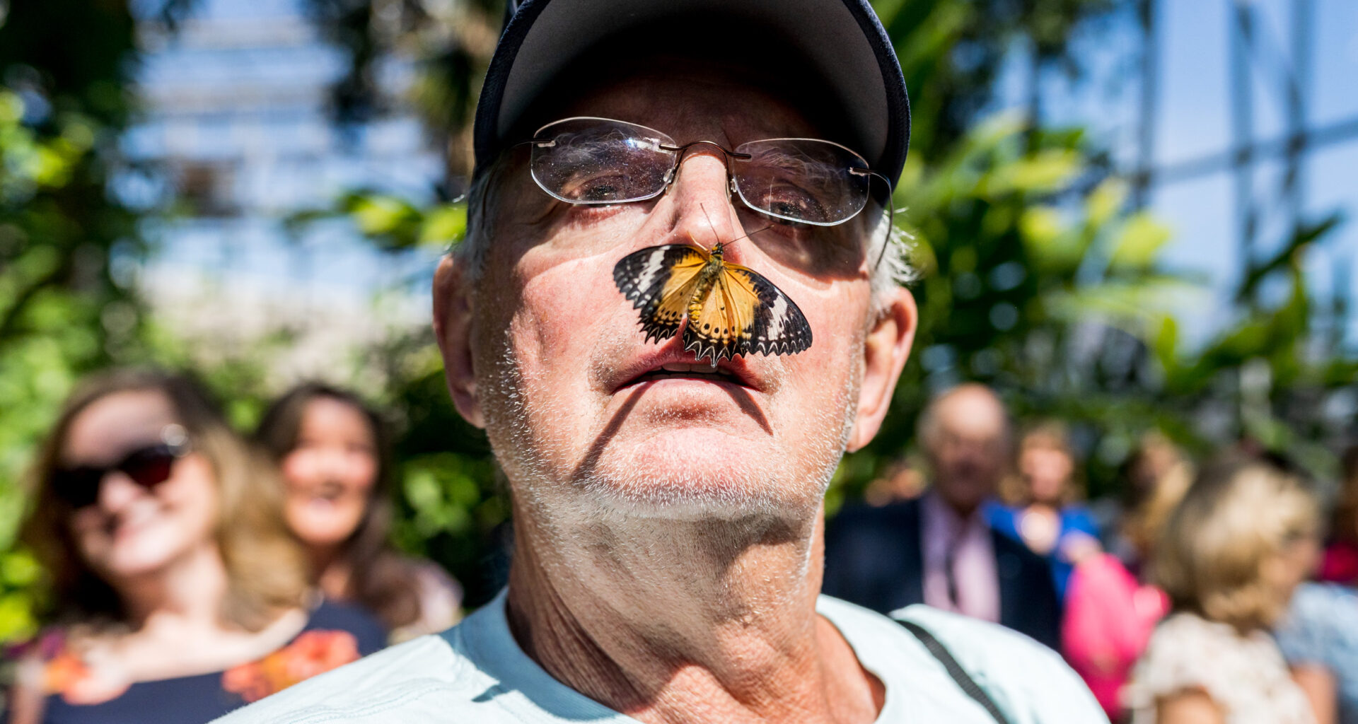 Weekend Worthy: Flutter by for butterflies at Fort Worth Botanic Garden
