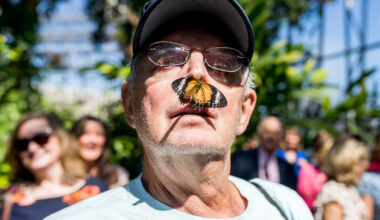 Weekend Worthy: Flutter by for butterflies at Fort Worth Botanic Garden