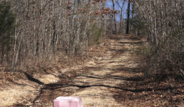 3 children rescued, skeletal remains found on property