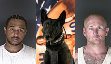 Assault suspect arrested in El Paso County with the help of K9 and drone