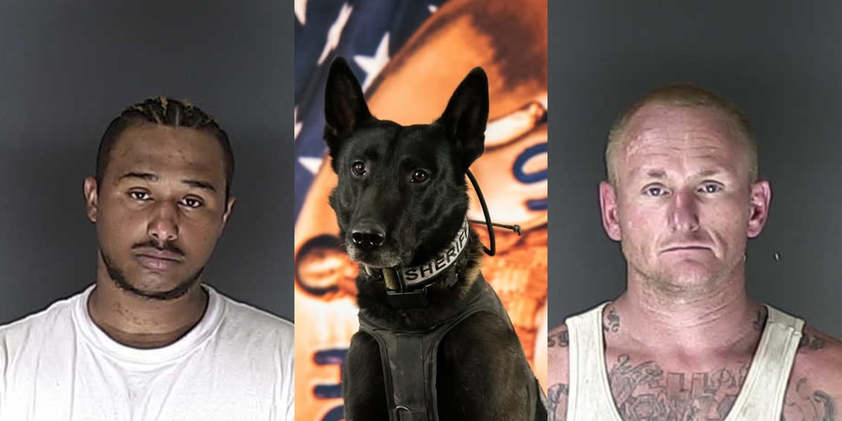 Assault suspect arrested in El Paso County with the help of K9 and drone