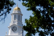 The clock tower on SMU's campus is photographed behind tree branches.