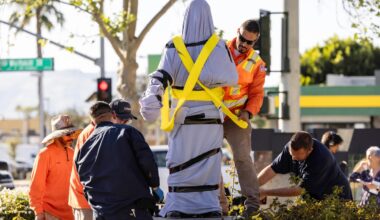 Cesar Chavez Statue Removal
