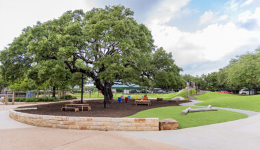 a large oak tree with picnic tables and a playscape