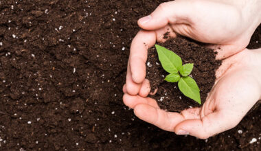 Environmental Benefits of Composting in Austin