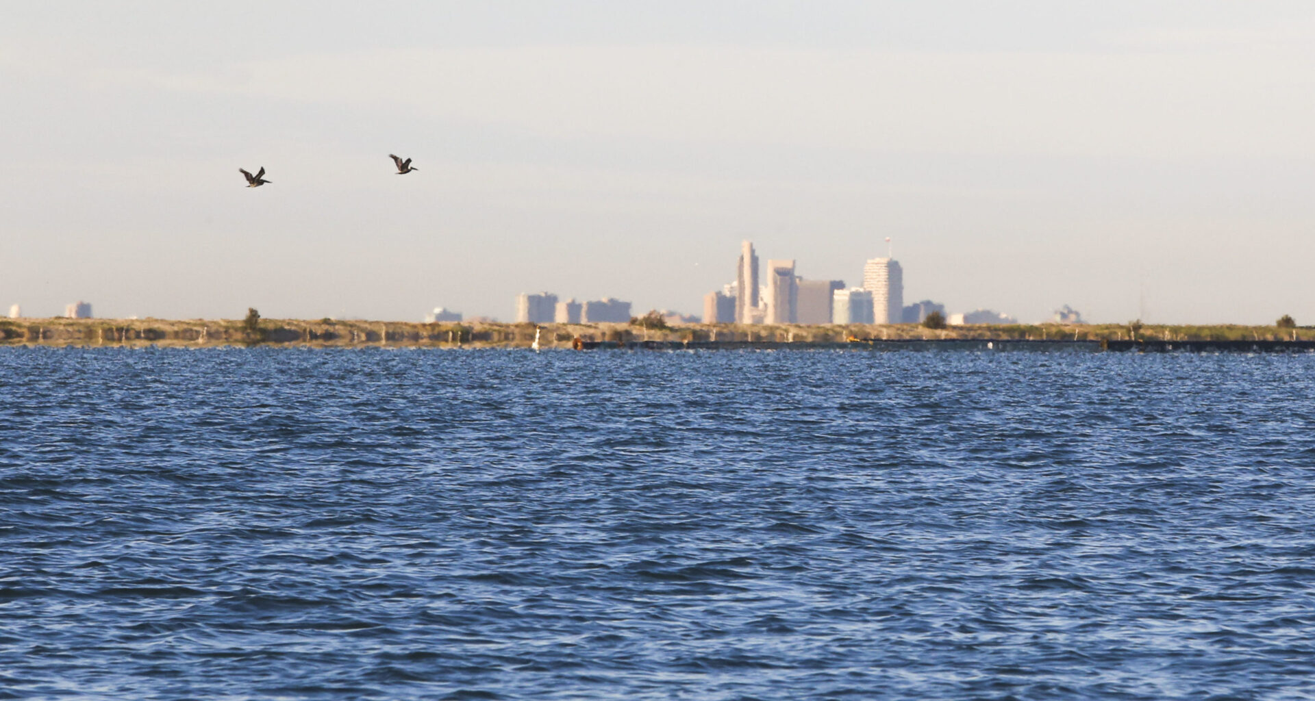 A pair of birds fly above a choppy bay of blue water, with a city seen in the distance.