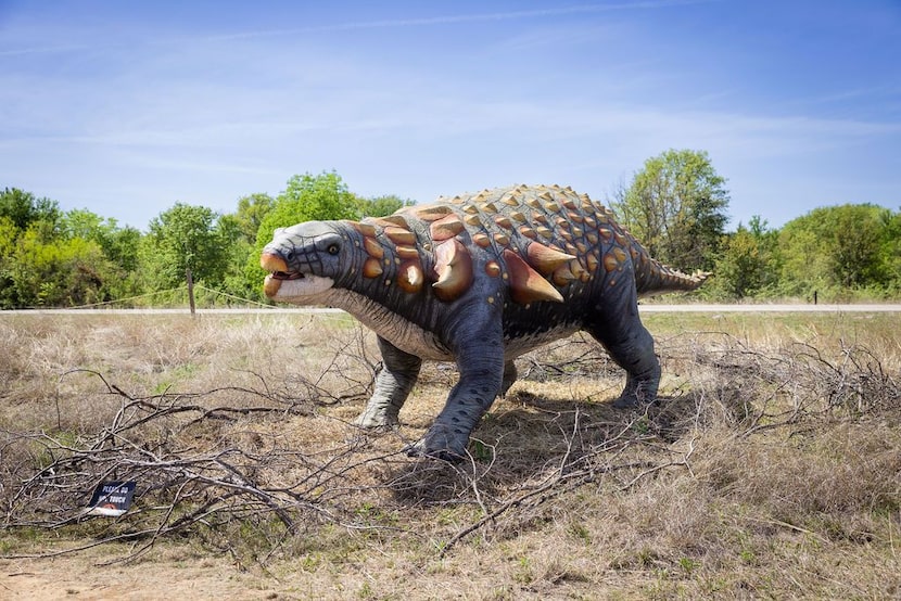 Meadowmere Park in Grapevine has transformed into a walk-through dinosaur park through March...
