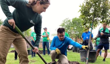 The beauty of trees in Texas