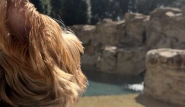 Prep Now, 24% higher heart risk after clocks spring forward.