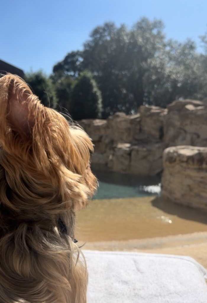 Prep Now, 24% higher heart risk after clocks spring forward.