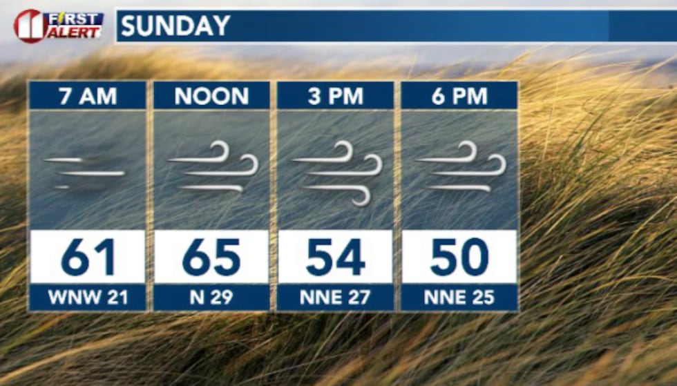 Expect strong winds the entire day. The strongest winds will arrive after a cold front passes...