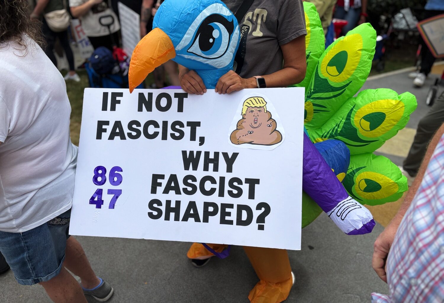 Protester with anti-Trump sign at Dallas No Kings event.