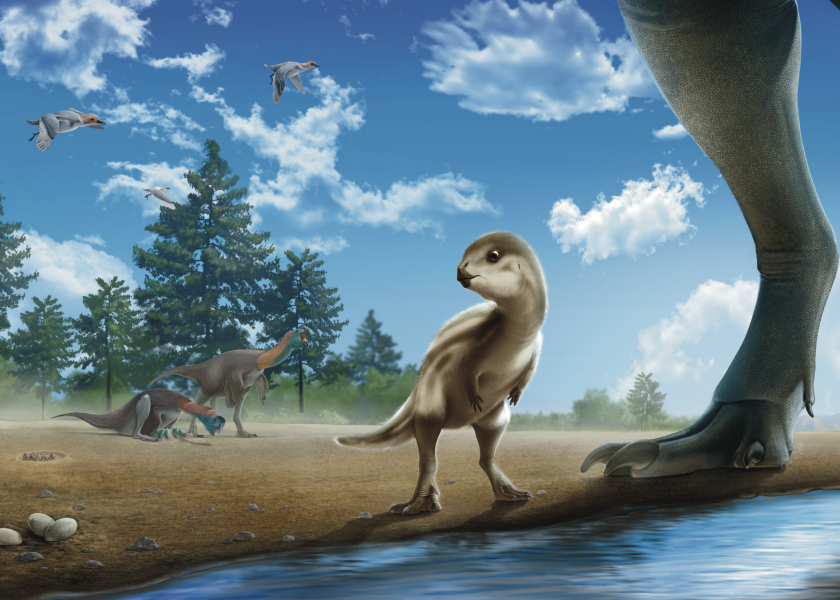 Fossil X-ray Reveals New Species of Baby Dino Named for Iconic Korean Cartoon | Jackson School of Geosciences