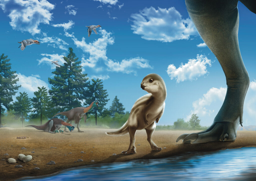 UT Austin researchers discover new dinosaur species in Korea