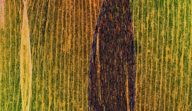 Dornith Doherty__Intersect final 7in_300ppi