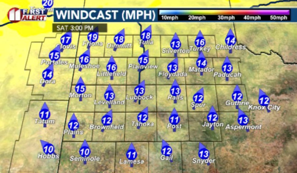 Winds will stay a light breeze and shift to the south later today.