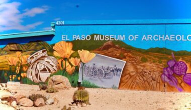 Poppies Fest returns with guided hikes, music, culture