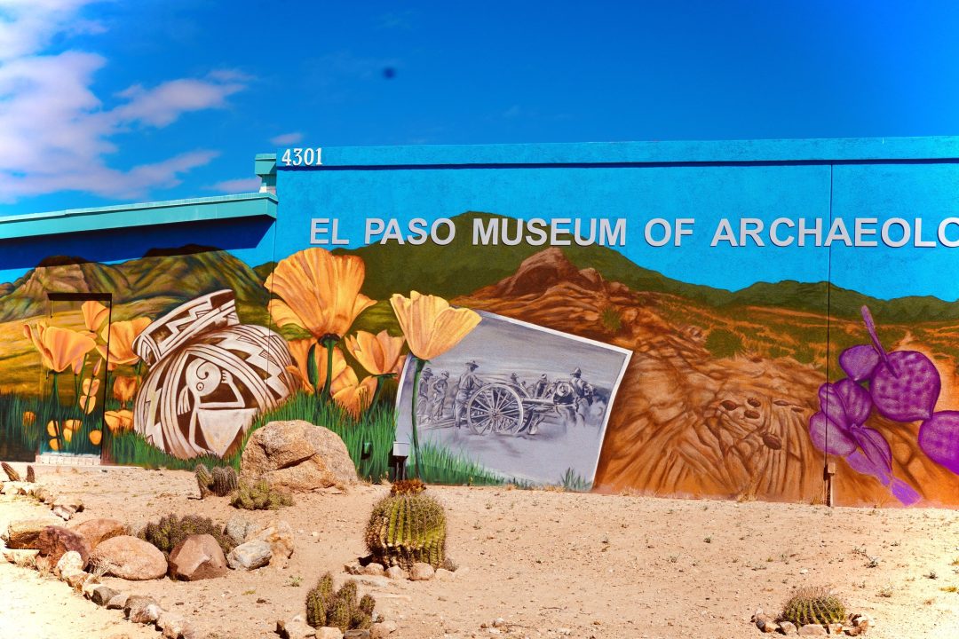 Poppies Fest returns with guided hikes, music, culture