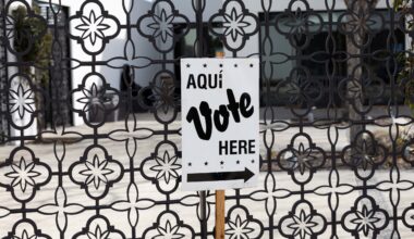 Which municipal races are on the May 2 ballot in Bexar County?