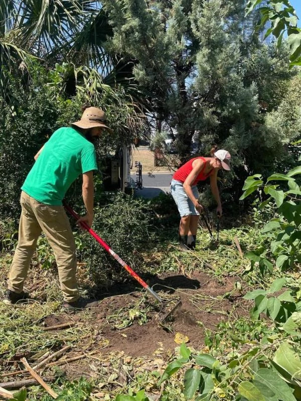 FestivalBeachFoodForestVolunteers.jpg