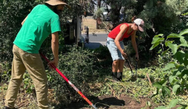 PARKners make it easier to get involved in Austin parks