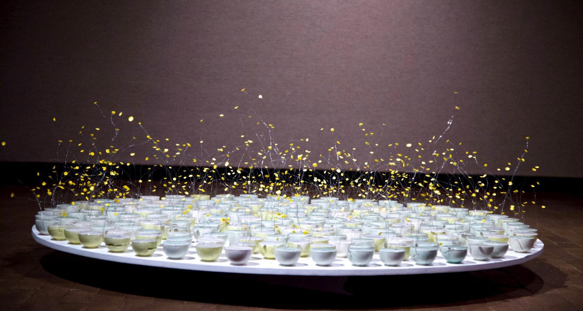 Crow Museum Unveils Spring Exhibitions and Programs