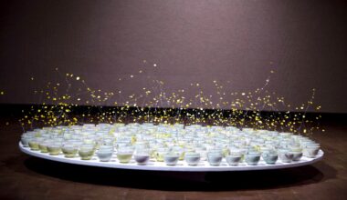 Crow Museum Unveils Spring Exhibitions and Programs