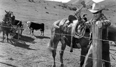 A scene from the film "The Rare Breed" showing James Stewart cutting a barbed wire fence in 1880s Texas.