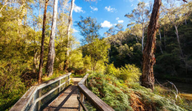 Connecting Dallas With 19 Small Towns Across 7 Counties