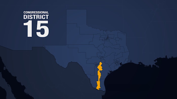 Texas’ 15th Congressional District race in March 2026 primary