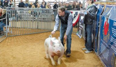 Wylie Show and Sale returns