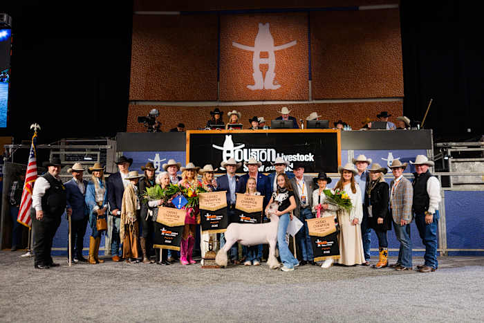 Grand Champion Market Lamb sells for record-setting $1 million at Houston Livestock Show and Rodeo