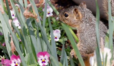 Warm Friday ahead for D-FW before breezy weekend of festivities