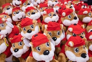 Buc-ee's plush beavers on sale at the Buc-ee’s in Denton on Friday, Jan. 10, 2025. 