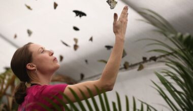 A woman stands as butterflies fly about her in the