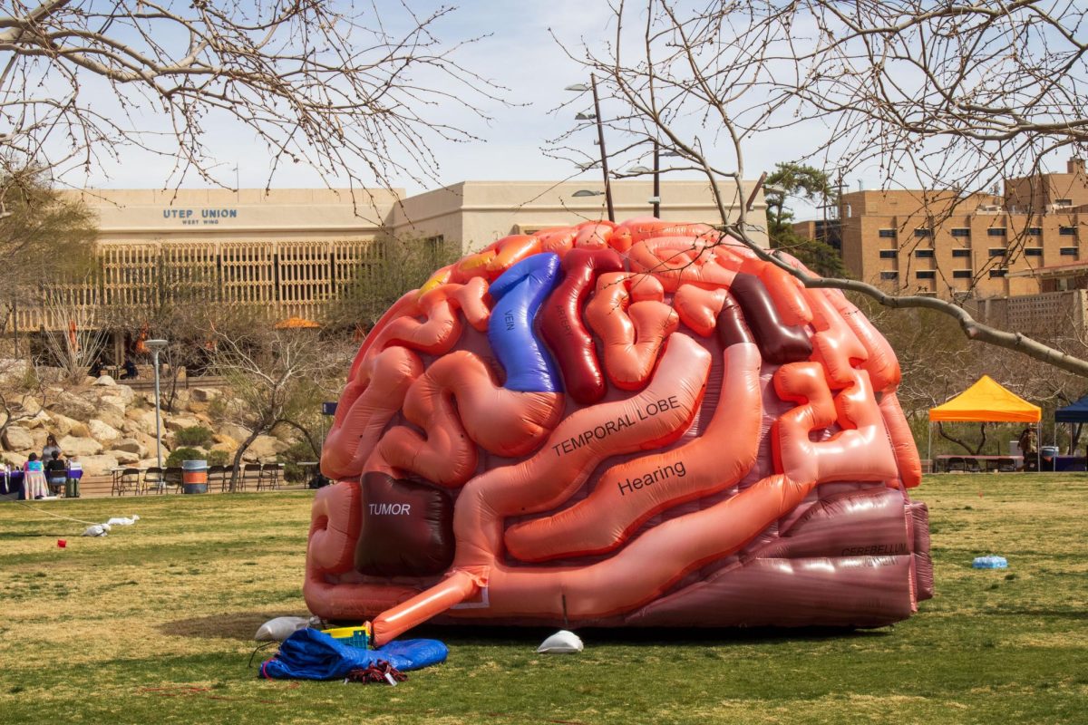 The University of Texas at El Paso (UTEP) HOPE+ health fair brought more than 130 organizations to campus, offering free screenings, vaccines and other services while giving students hands on learning opportunities and connecting the El Paso community to vital healthcare.