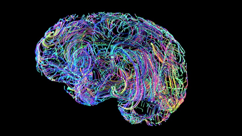 3d illustration brain connections colorful